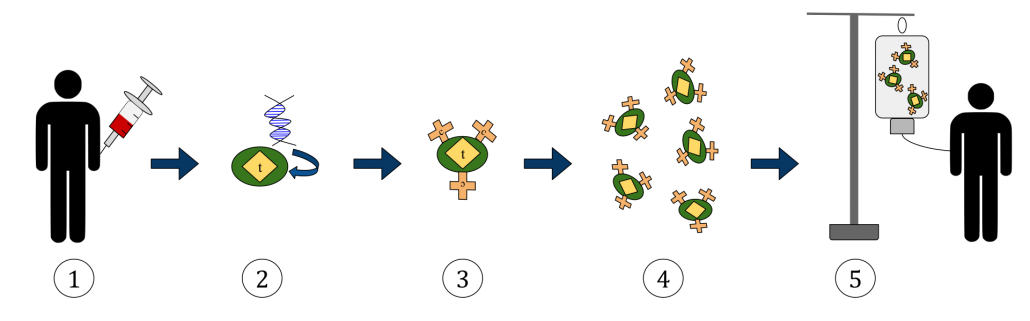 CAR-T Process